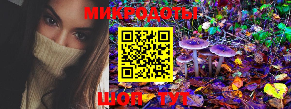 Псилоцибиновые грибы Magic Shrooms Заводоуковск