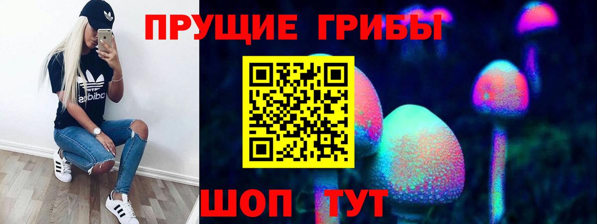 Псилоцибиновые грибы прущие грибы  Вход с VPN  Заводоуковск 