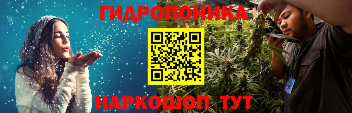 Шишки марихуана марихуана  Канабис Ganja  Вход с VPN  Заводоуковск 